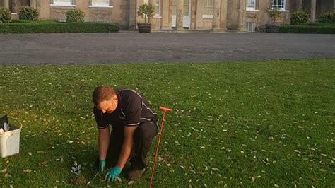 Emergency Pest Control Bournemouth, Poole & Dorset 24/7.